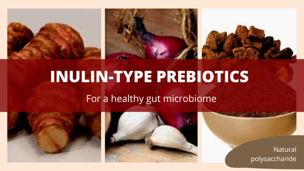 Inulin-Type Prebiotics For A Healthy Gut Microbiome